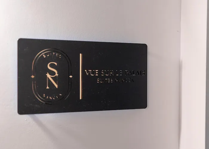 Vue Sur Le Palais - Gare Congres - Parking - T3 * 南锡